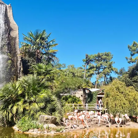 Stunning In Marennes-hiers-brouage *