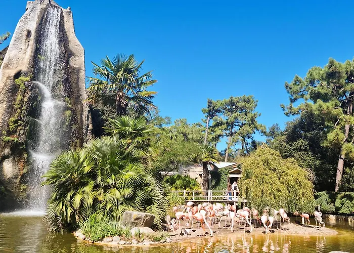 Stunning In Marennes-hiers-brouage *